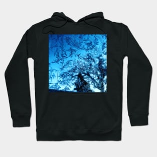 Frosty Window Hoodie